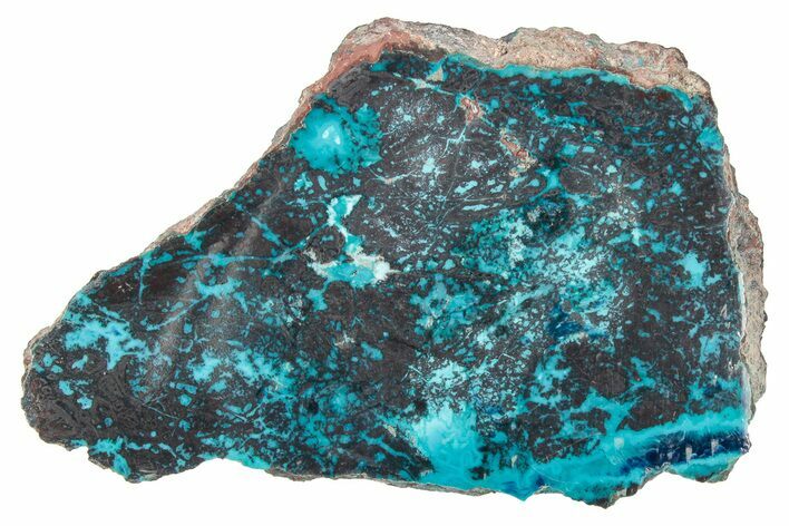 Vibrant Chrysocolla and Shattuckite Slab - Mexico #348736